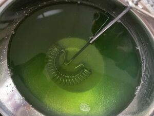 Przygotowanie galaretki Rozpuszczanie galaretki do masy śmietankowej – przepis na ciasto Shrek