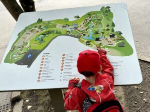 Gdańskie zoo - największy ogród zoologiczny w Polsce! - IMG 6744