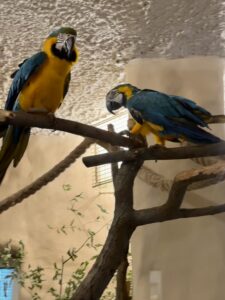 Gdańskie zoo - największy ogród zoologiczny w Polsce! - IMG 6770