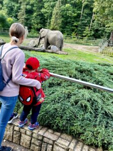 Gdańskie zoo - największy ogród zoologiczny w Polsce! - IMG 6815
