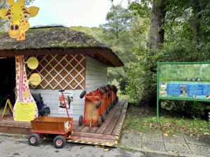 Gdańskie zoo - największy ogród zoologiczny w Polsce! - IMG 6893