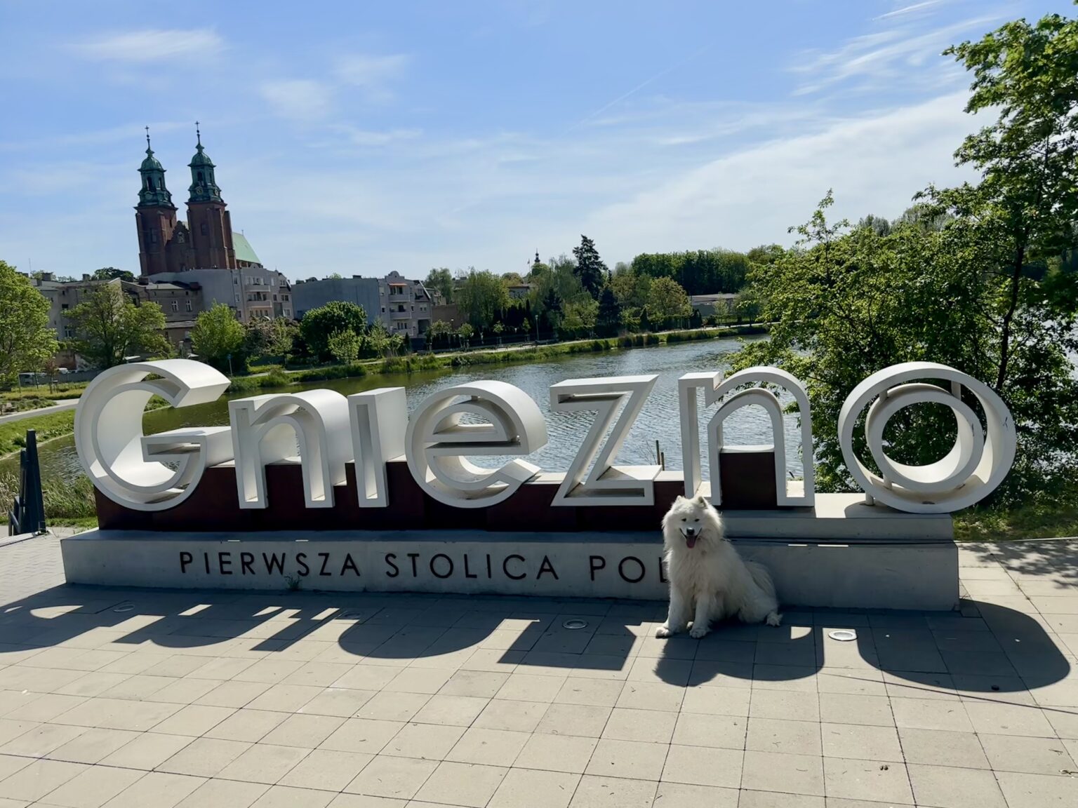 Gniezno śladami królików - zwiedzamy pierwszą stolicę Polski - IMG 2367