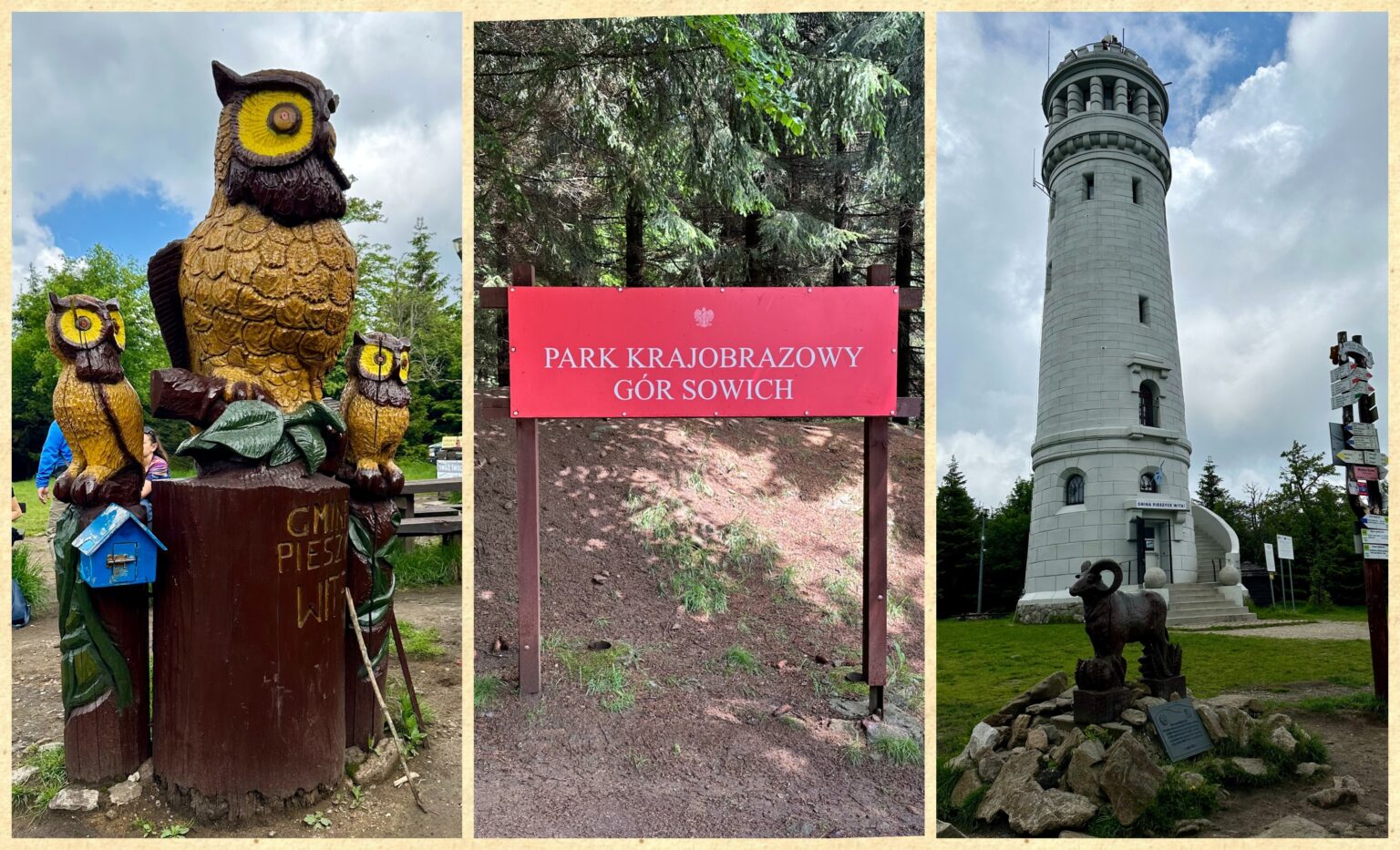 Wielka Sowa - zdobywamy najwyższy szczyt Gór Sowich! - IMG 5501