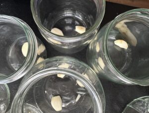 Cukinia po francusku - IMG 9827