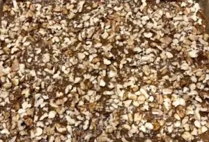 Orzechowy Raj - pyszne ciasto bez pieczenia! - IMG 1784 e1762080023997