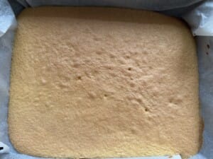 Cytrynowiec z bananami - IMG 2280